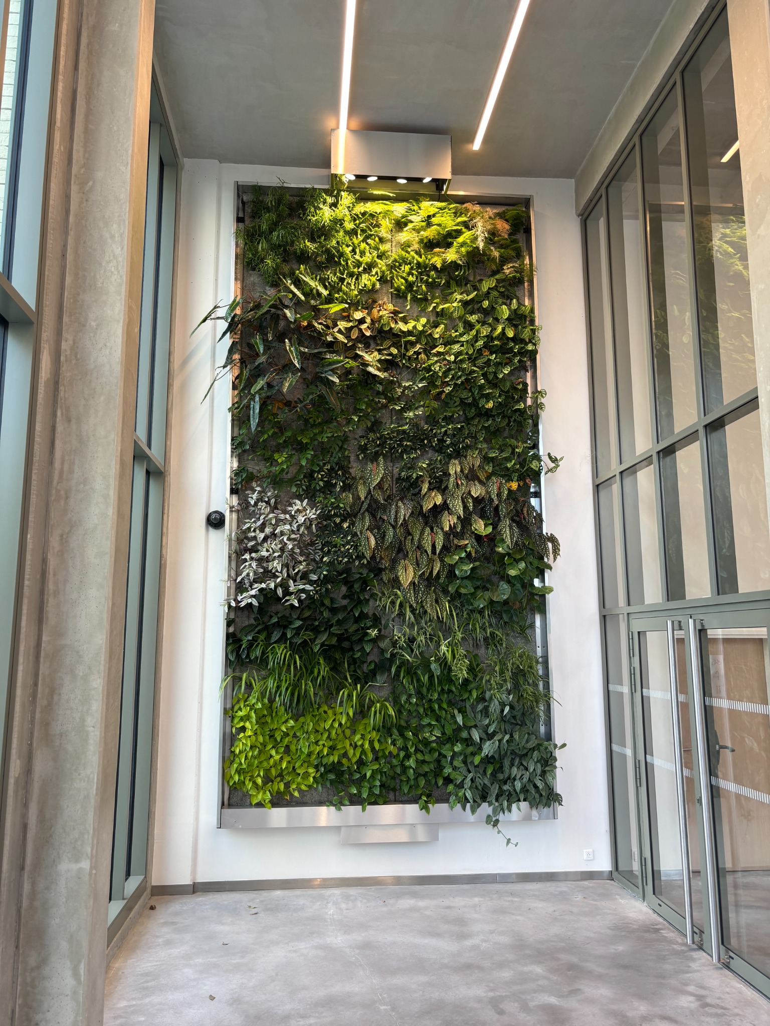 Une signature végétale pour vos espaces